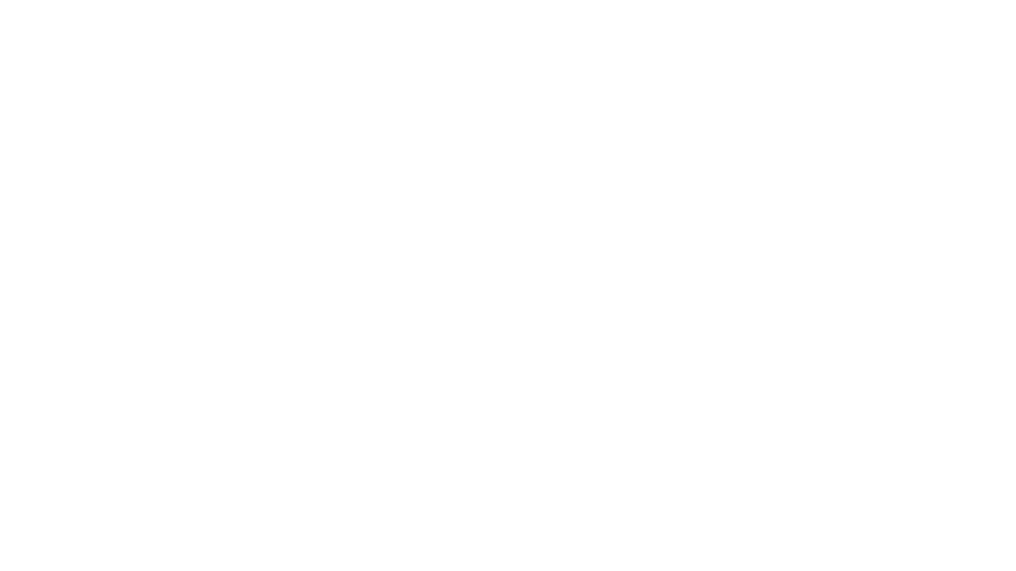 Kindsight White logo - FOFM Sponsor